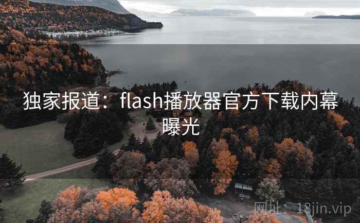 独家报道：flash播放器官方下载内幕曝光