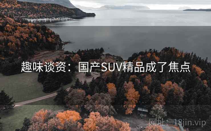 趣味谈资:国产SUV精品成了焦点